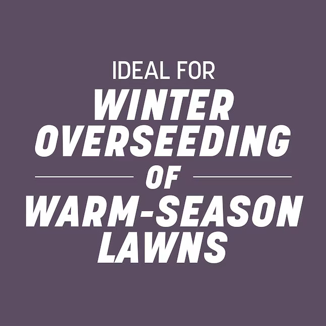 [FLASH SALE] Pennington 50-lb Annual Ryegrass Grass Seed