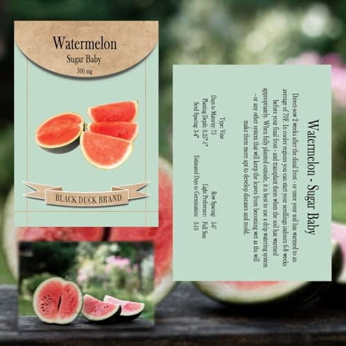 30 Assorted Packages of Vegetable Seeds, 15+ Varieties, All Seeds are