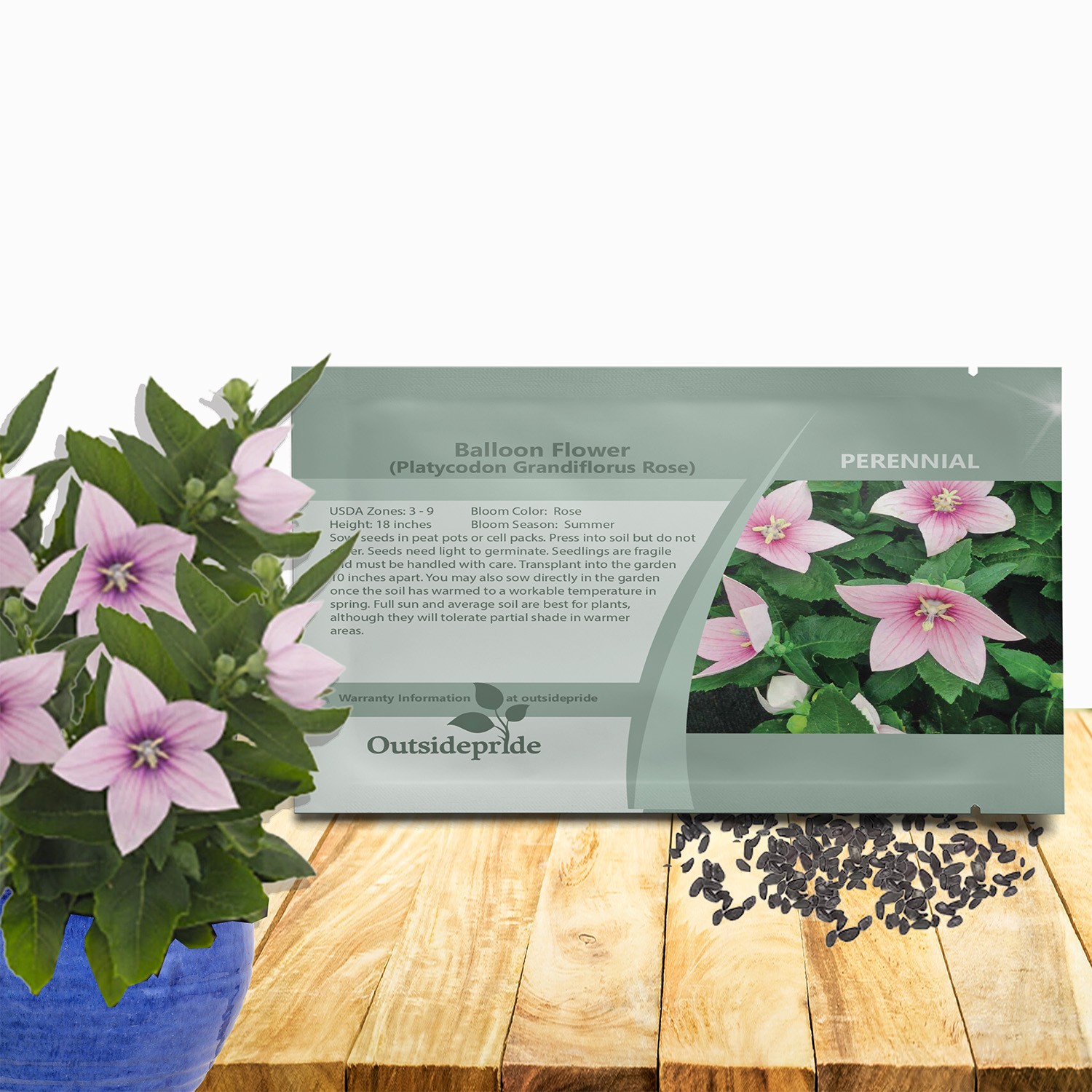 1000 Seeds Balloon Flower Seed – Platycodon Grandiflora Rose Flower Seeds