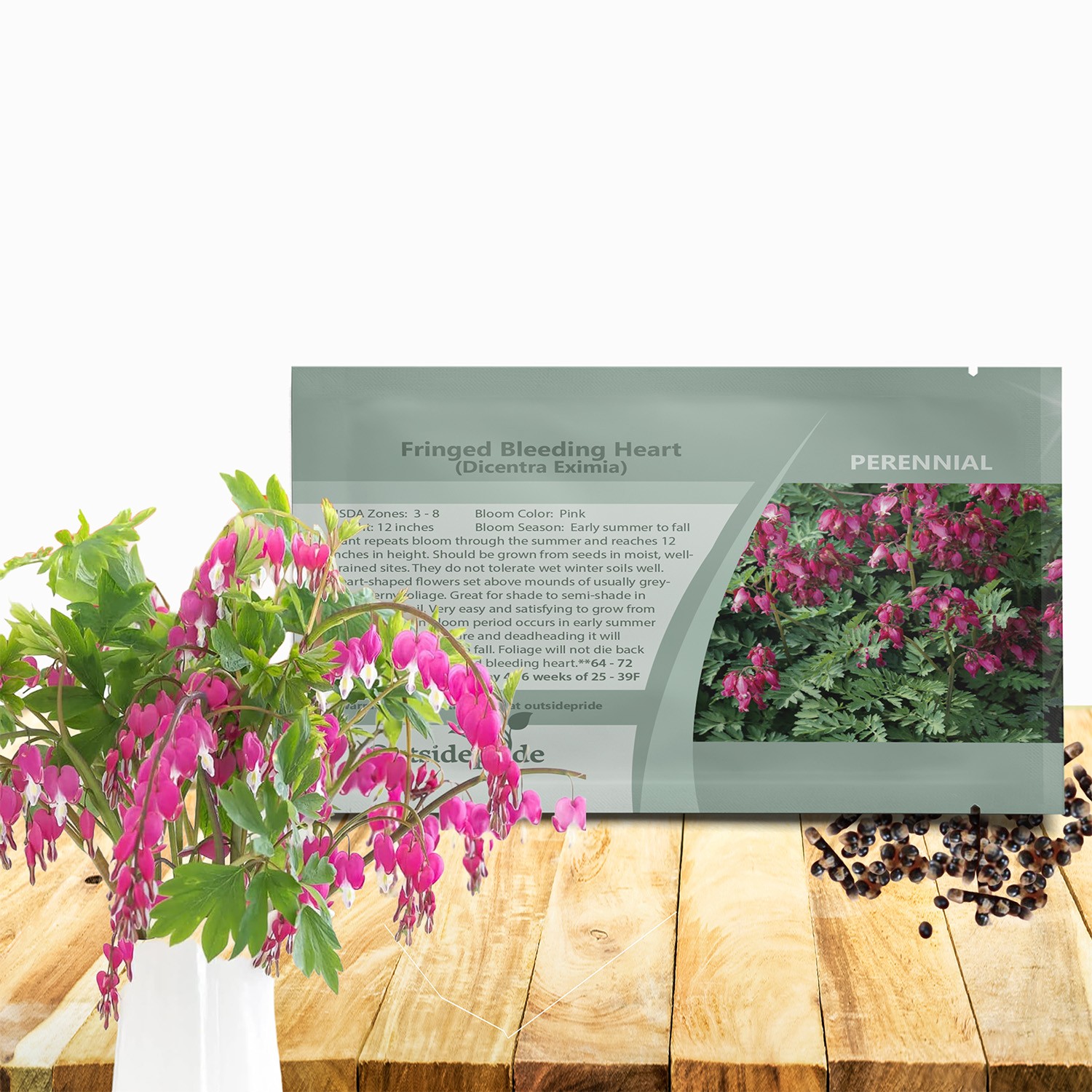 100 Seeds Dicentra Seeds – Fringed Bleeding Heart – Dicentra Eximia Flower Seeds