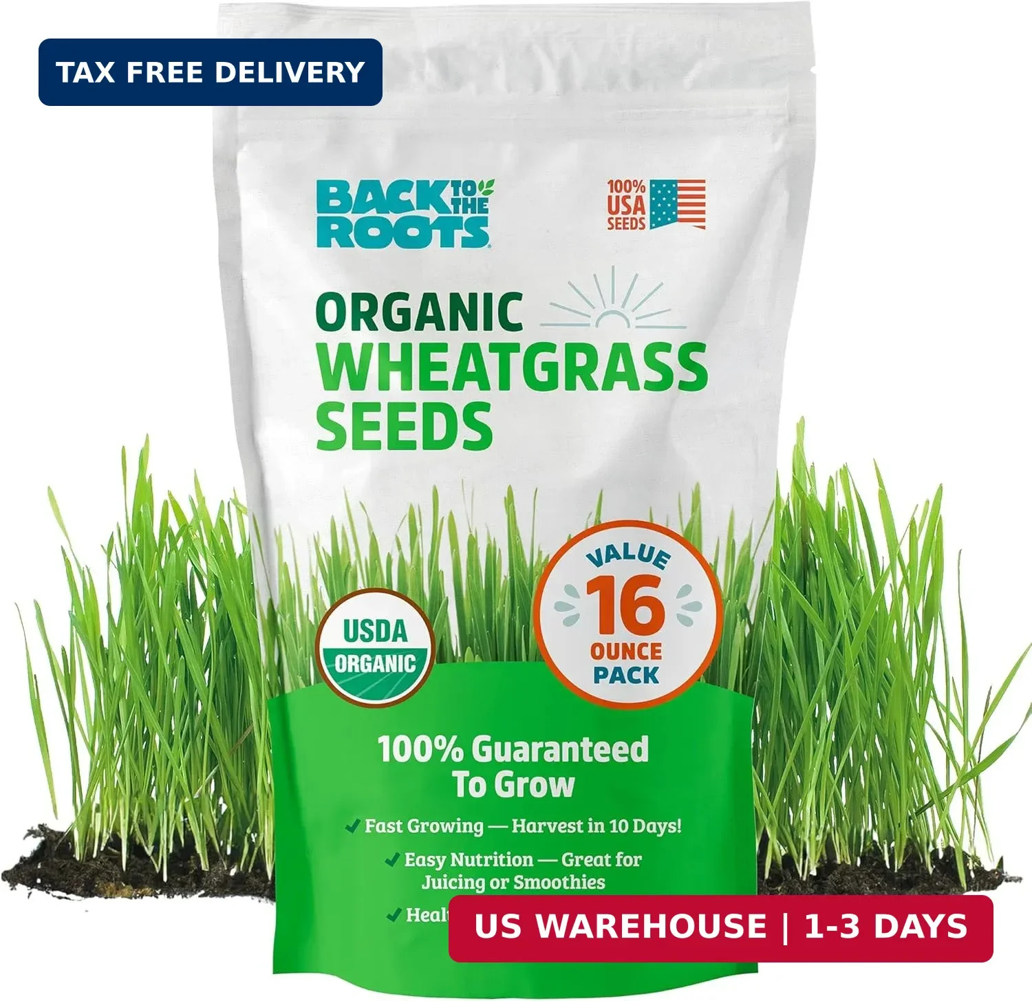 Back to the Roots 100% Organic Wheatgrass Seeds | 1 Pound Non-GMO | Nutrient Den