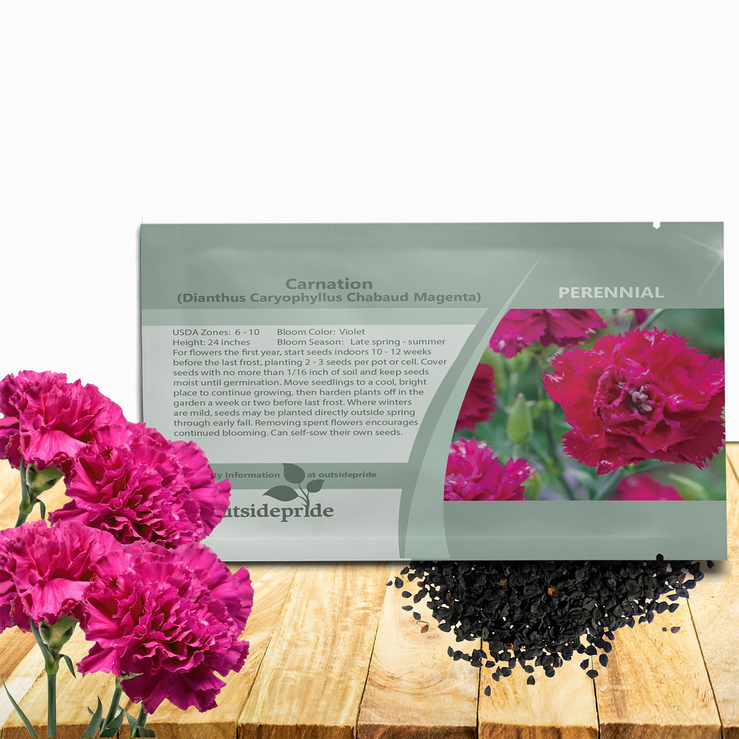1000 Seeds Carnation Seeds – Dianthus Caryophyllus Chabaud Magenta Flower Seed