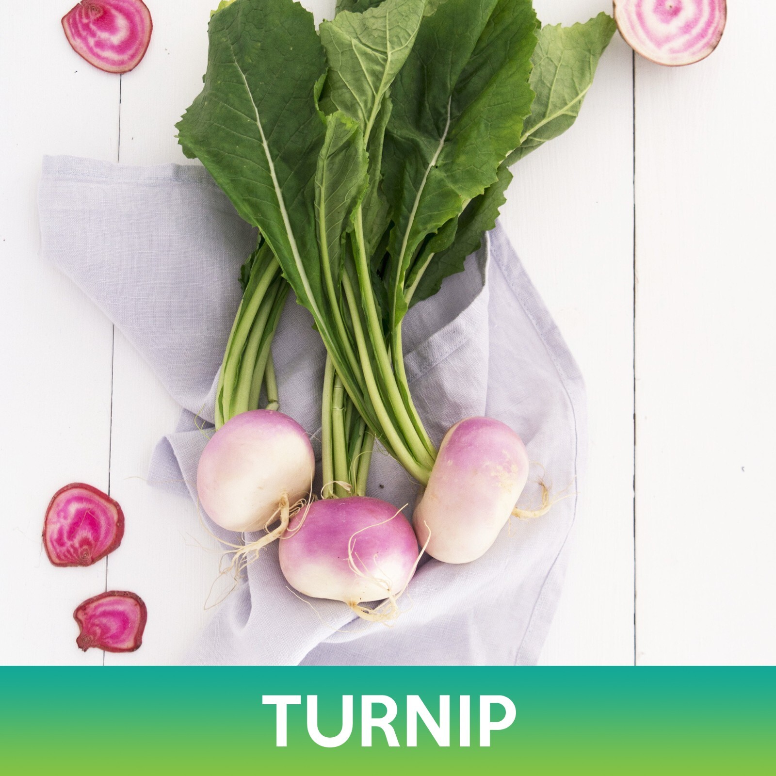 Turnip Seeds, Purple Top White Globe Turnip, Brassica rapa