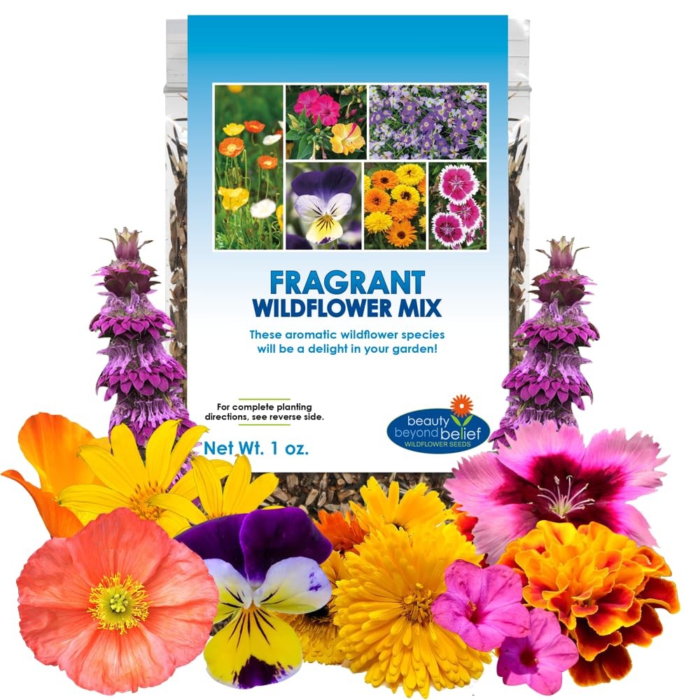 Fragrant Wildflower Seeds Mix 1oz Aromatic Annual Perennial Garden Planting