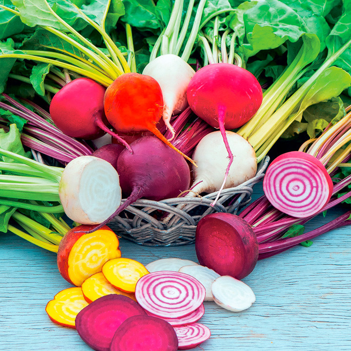 Rainbow Mix Beet Seeds, 4 Species, (Detroit Dark Red & Golden, Chioggia, White)