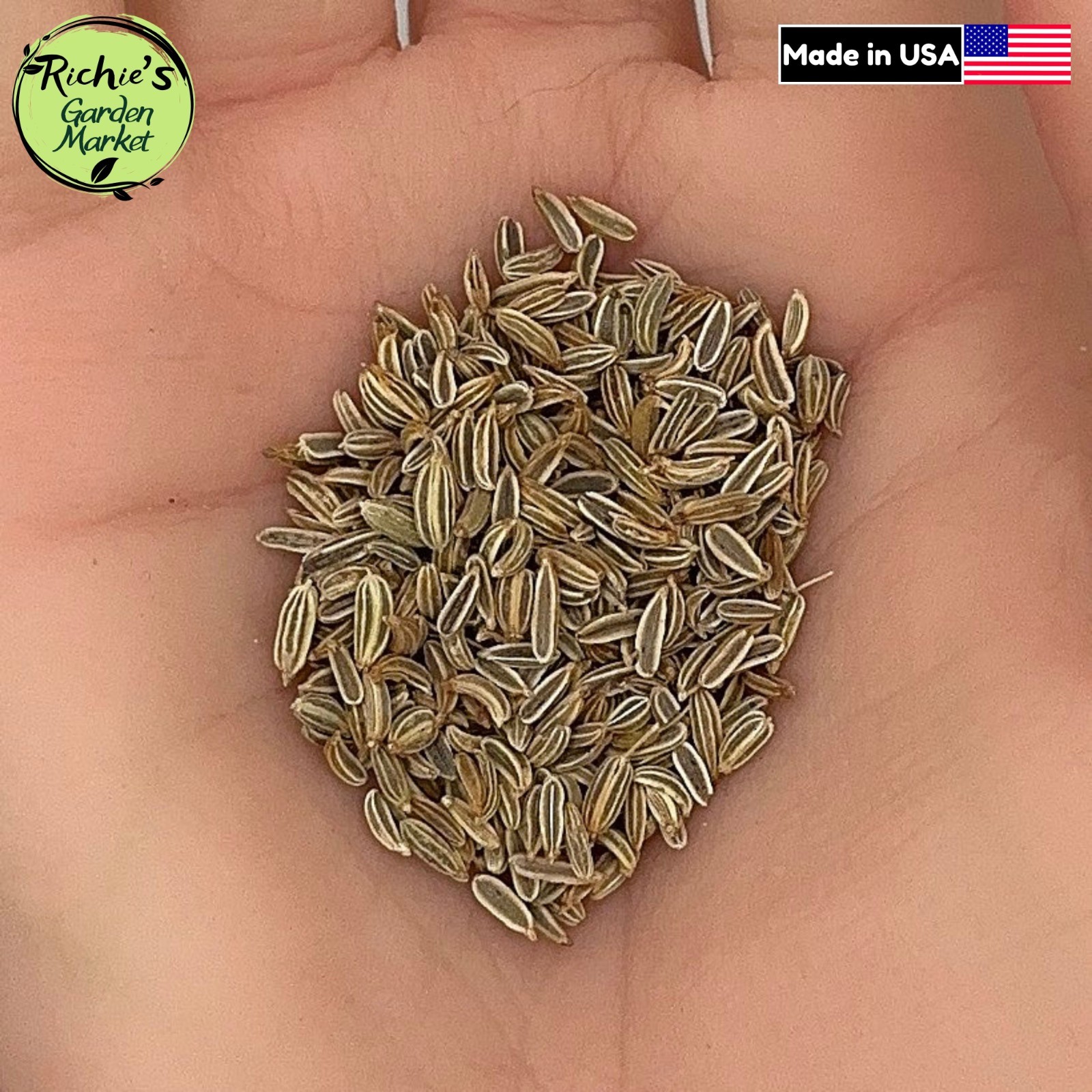 Fennel Seeds, Florence Heirloom, Non-GMO, Sweet & Aromatic, Free Shipping