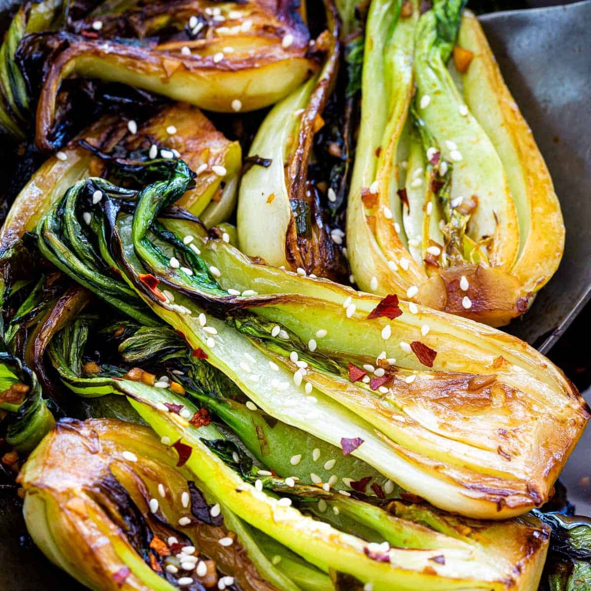 Large White Stem Bok Choy Seeds | USA Asian Chinese Pak Choi Cabbage Seed 2024