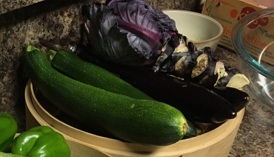 Black Beauty Zucchini 25 Fresh Seeds Free Gift Seeds w/Every Garden Order!