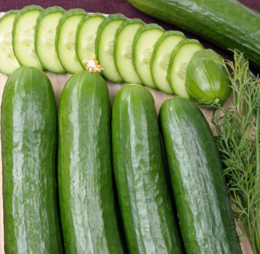 300 Cucumber Seeds Straight Eight 8 | Vegetable Heirloom, Award Winner 300 Seeds