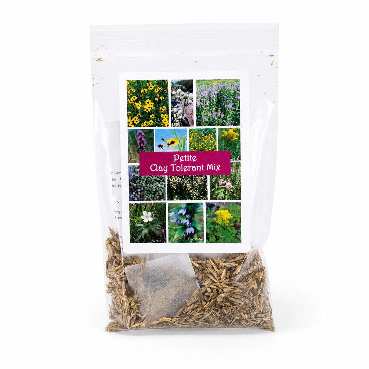 Backyard Salt & Clay Wildflower XL Bundle | Tall & Short Mini Mixes and Petite C