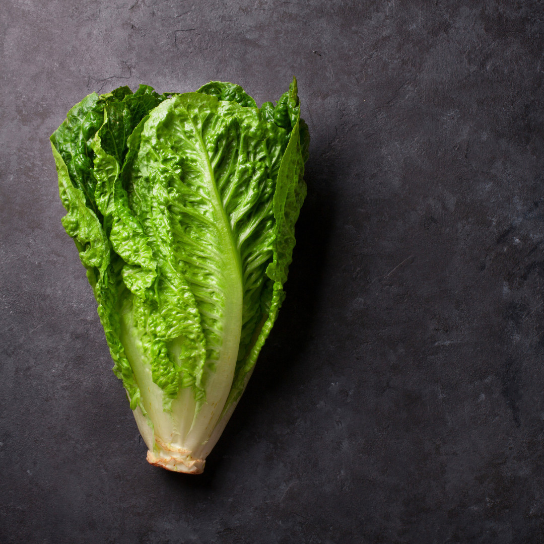 Fresh Crisp Giant Caesar Romaine Lettuce Seeds| Heirloom Non-GMO | Vegetables