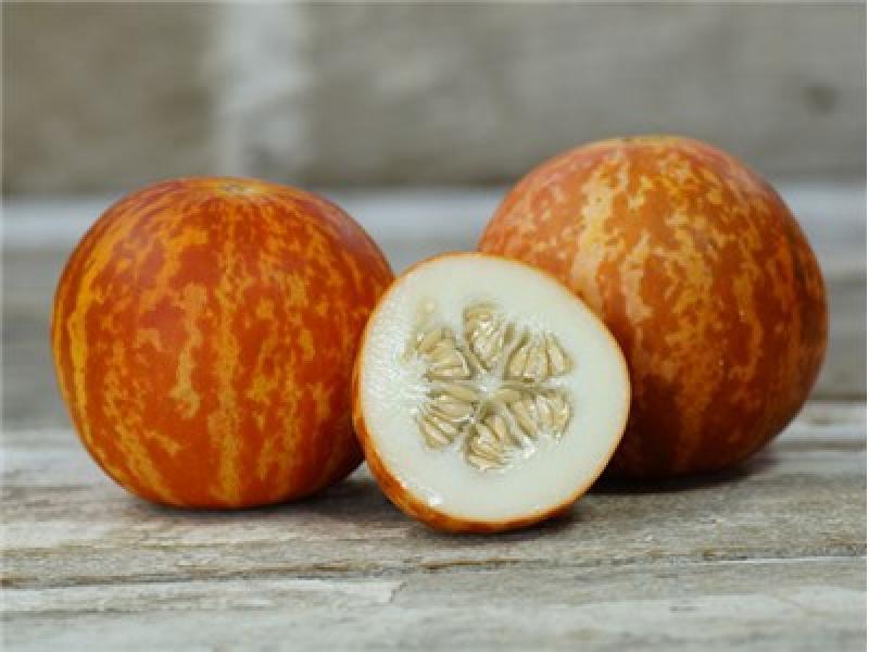 Tigger Melon Seeds, Beautiful and Aromatic, Organic, NON-GMO, FREE SHIPPING