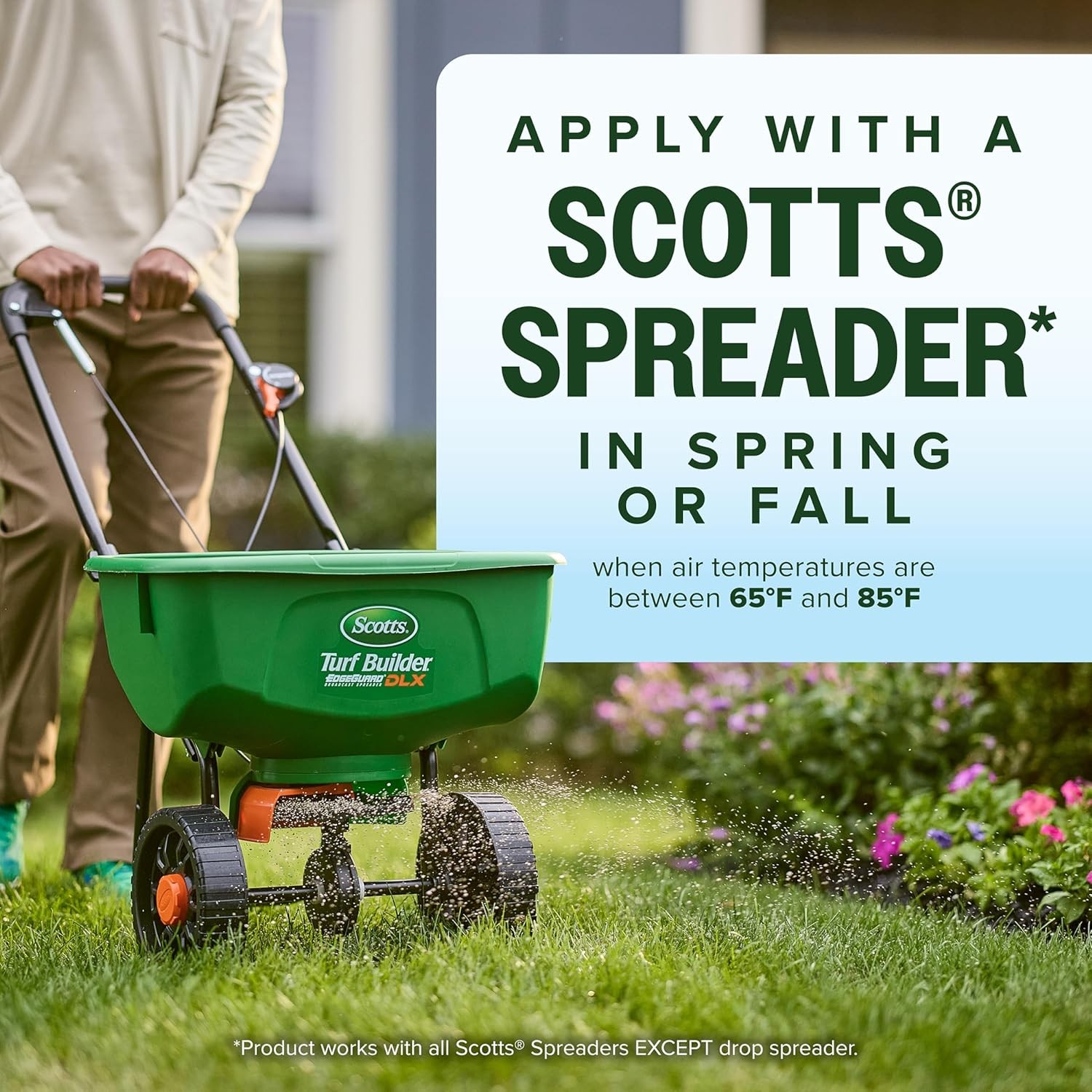 Scotts Kentucky 31 Grass Seed Mix for New Lawns or Overseeding, Grows Thicker an