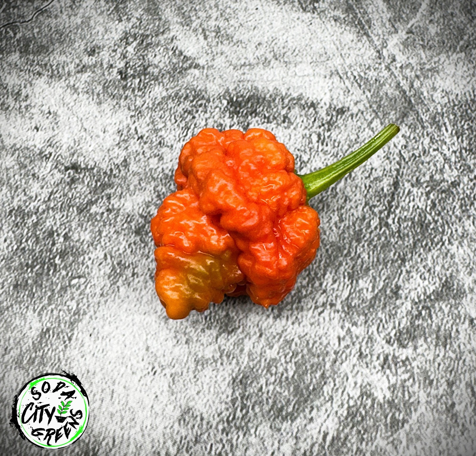 RB003 Pepper Seeds