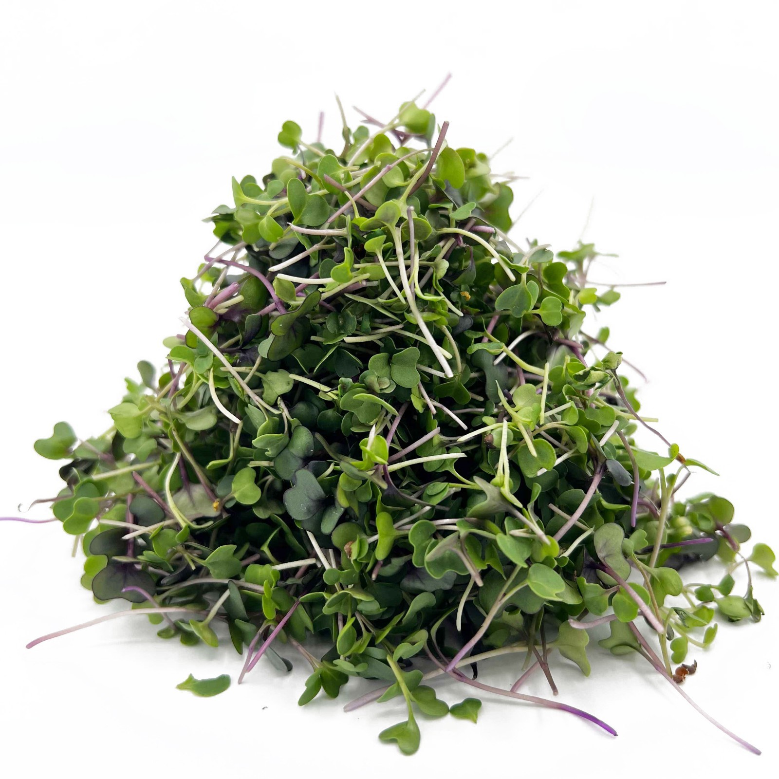 Basic Salad Microgreens Seed Mix Broccoli Kale Kohlrabi Arugula Cabbage Non-GMO