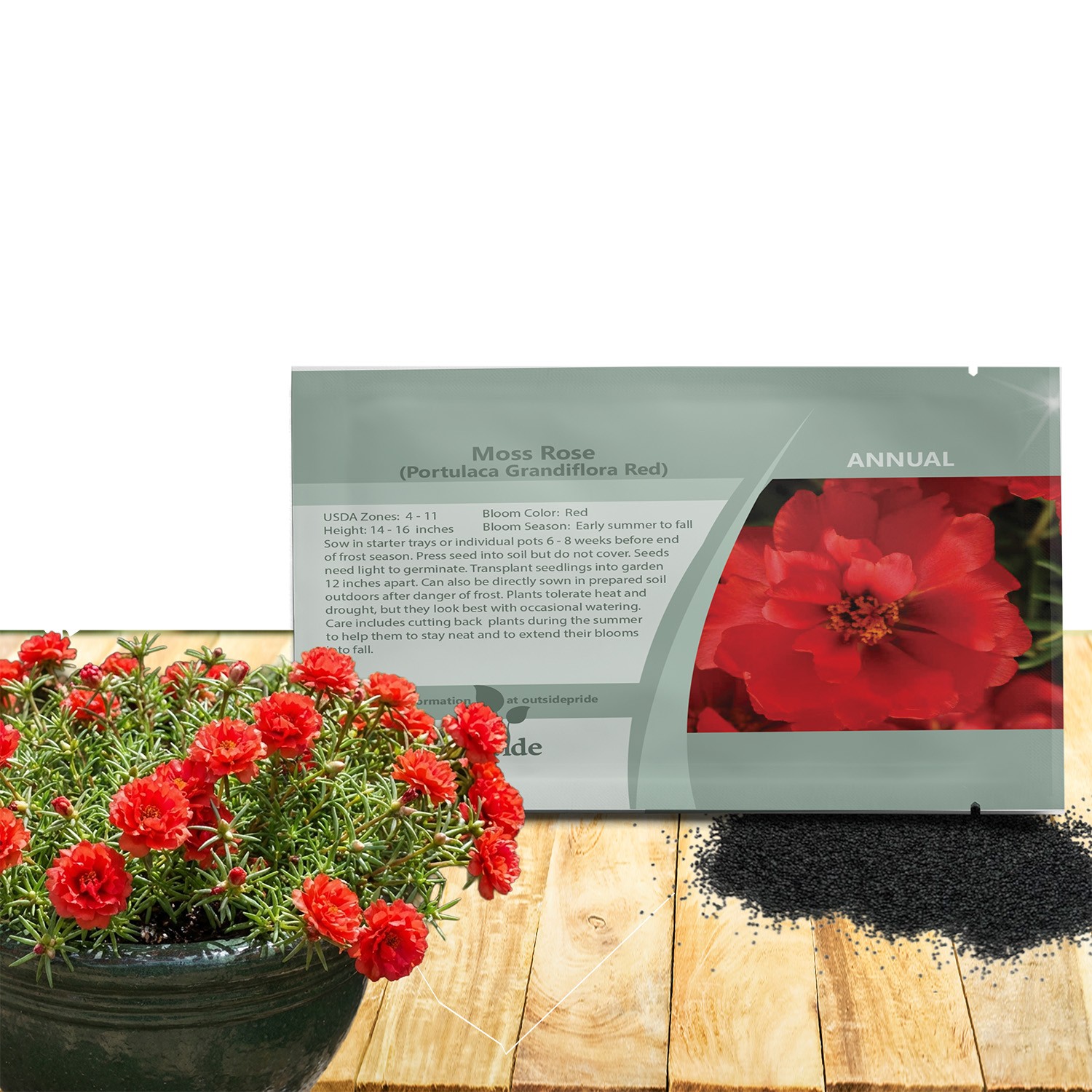 5000 Seeds Drought Tolerant Red Moss Rose Portulaca Ground Cover Plant Seed