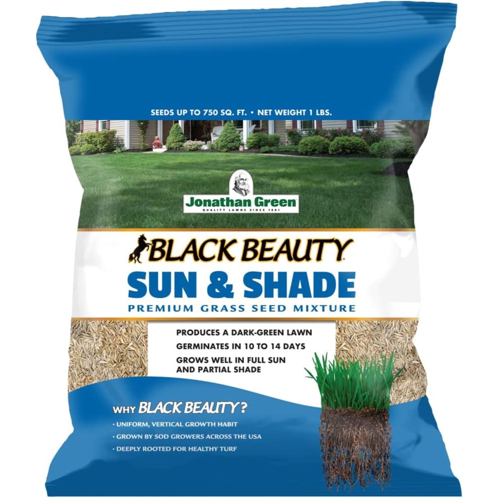 Jonathan Green Black Beauty Sun & Shade Grass Seed, 1 lb bag