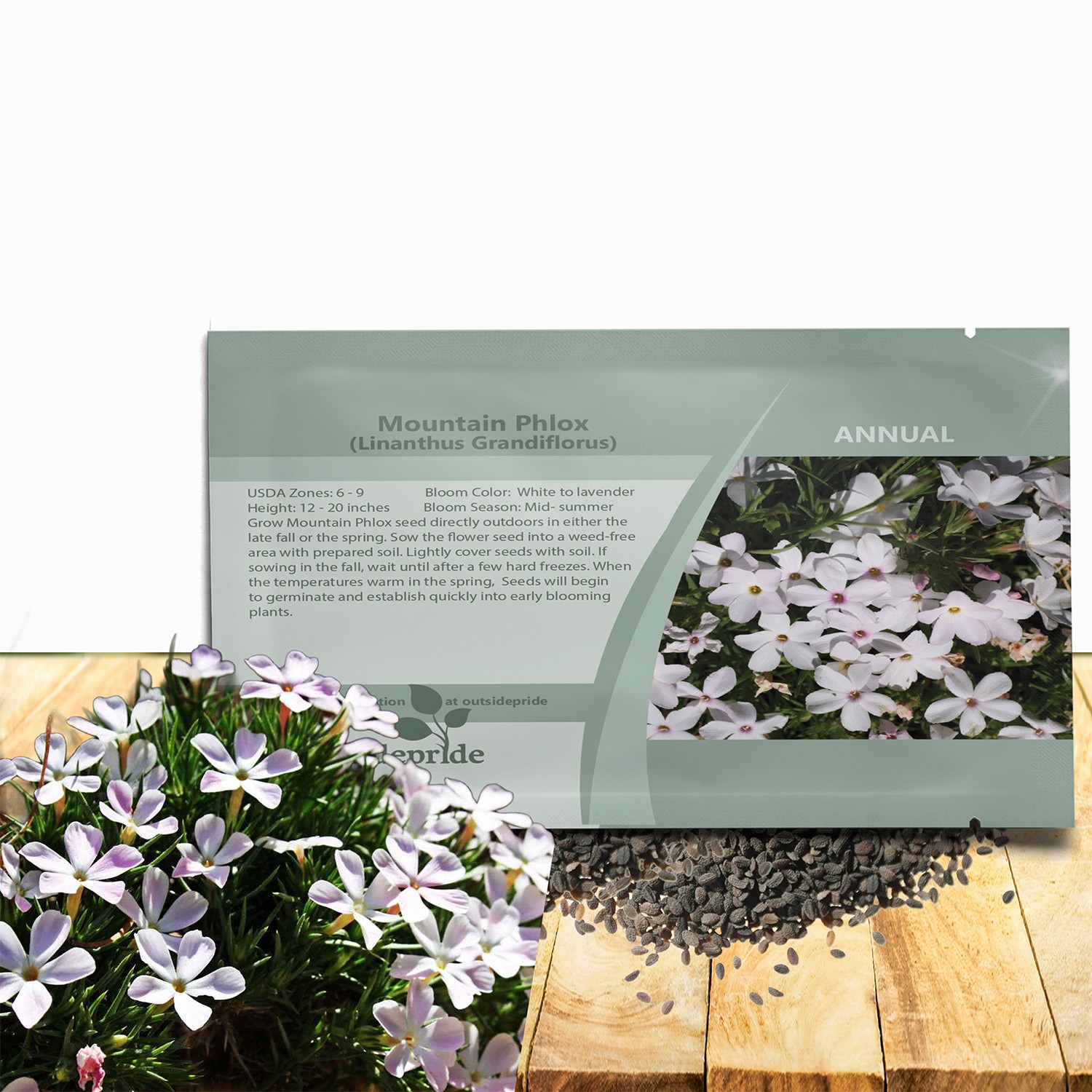 5000 Seeds White Mountain Phlox Seed For Planting – Phlox Wildflower Seeds