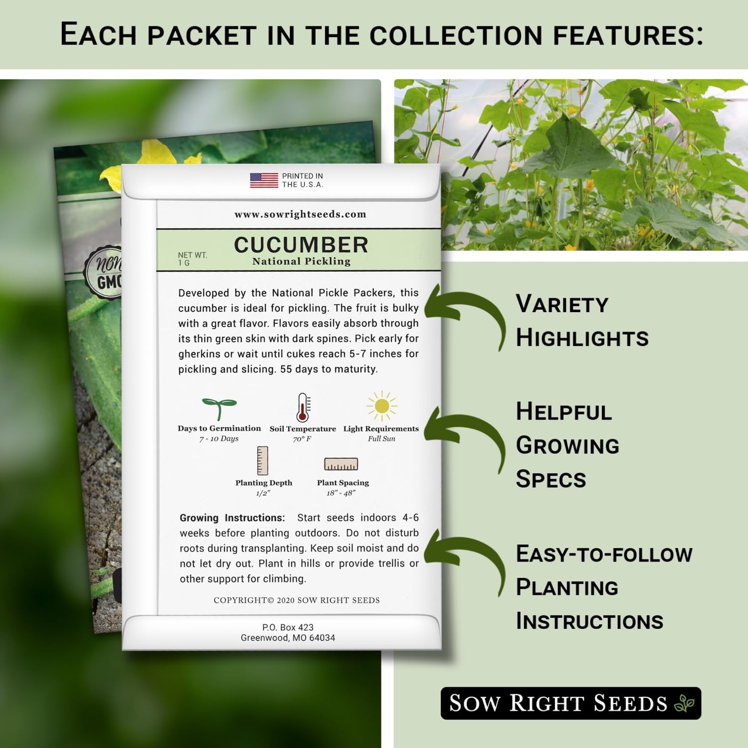 Sow Right Seeds Classic Vegetable Garden Seed Collection for Planting NonGM…