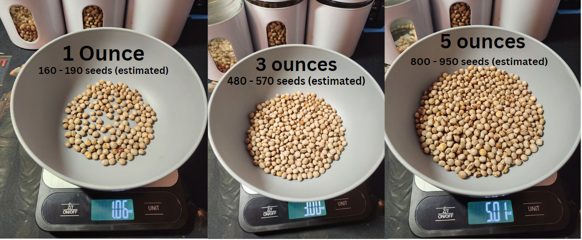 Wholesale Seeds, Semillas al por mayor, Puerto Rico, gandules, beans, hydroponic