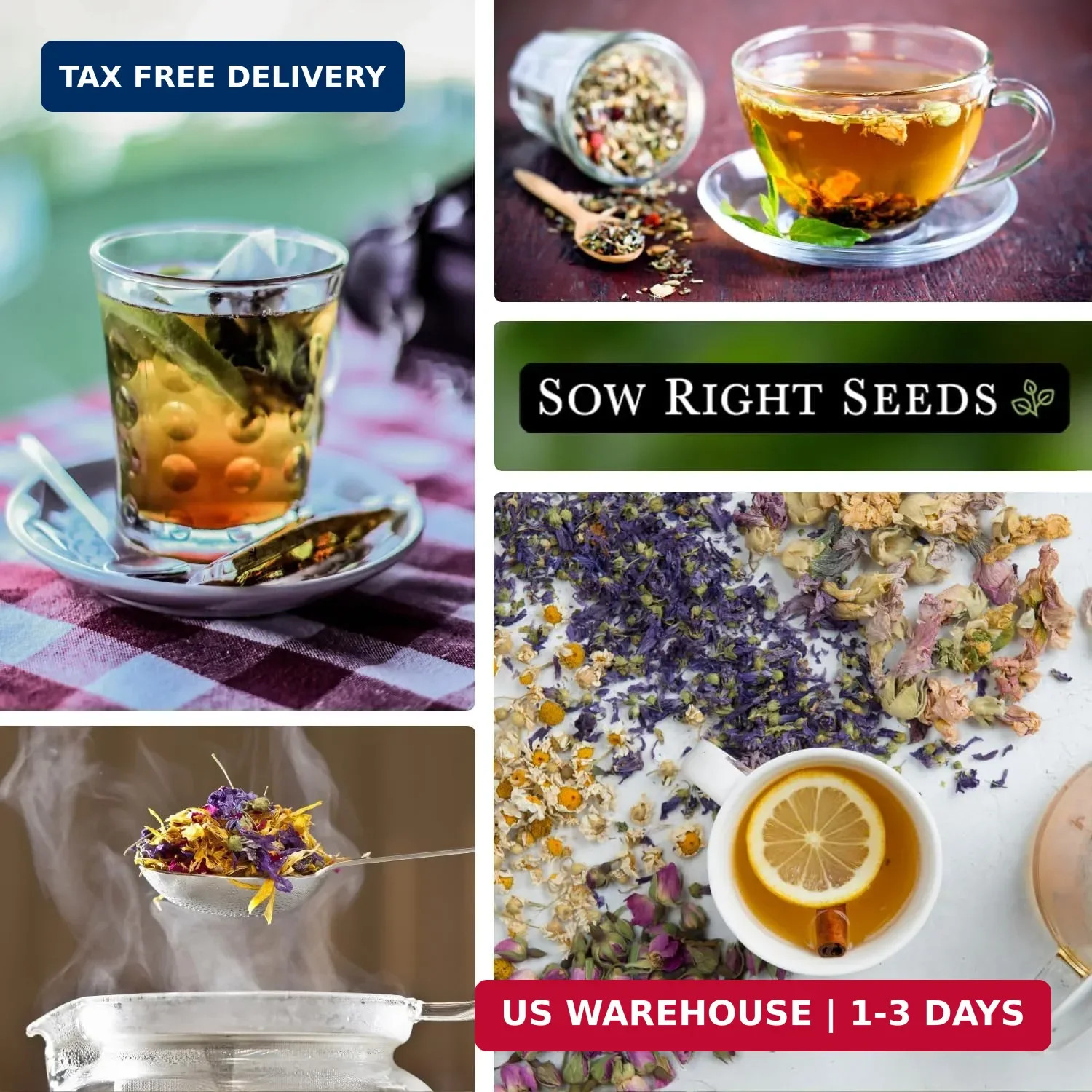Sow Right Seeds – Large Herbal Tea Garden Seed Collection for Planting – Lemon B