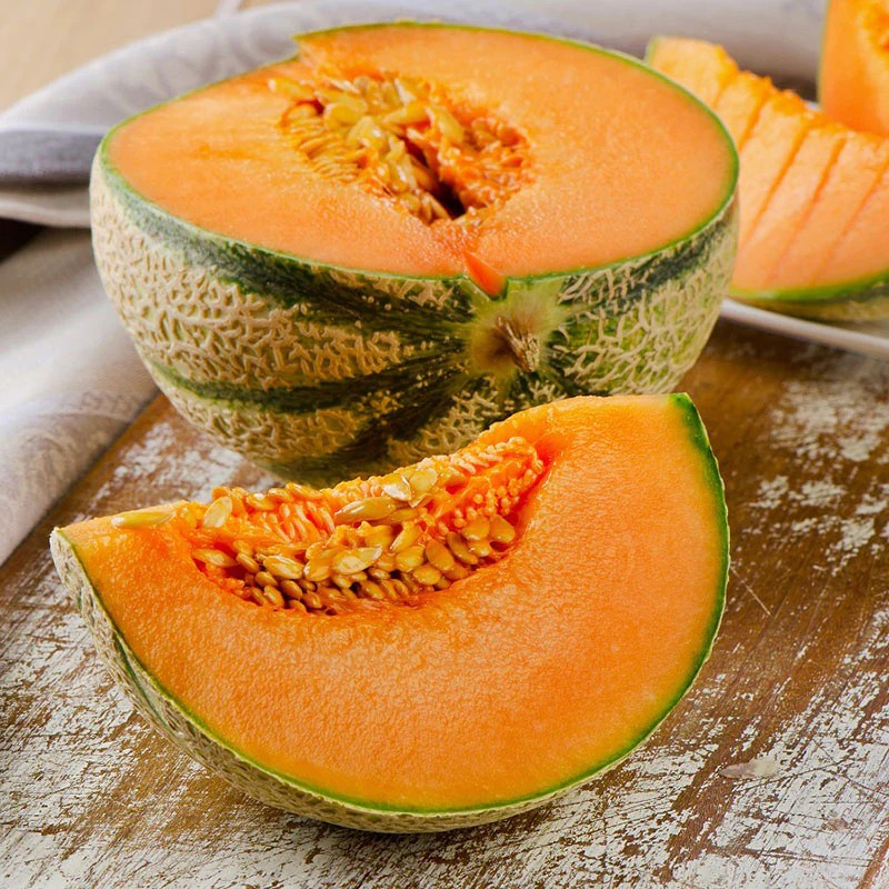 25+ CHARENTAIS MELON / CANTALOUPE — SWEET — HEIRLOOM — ORGANIC ——— RARE
