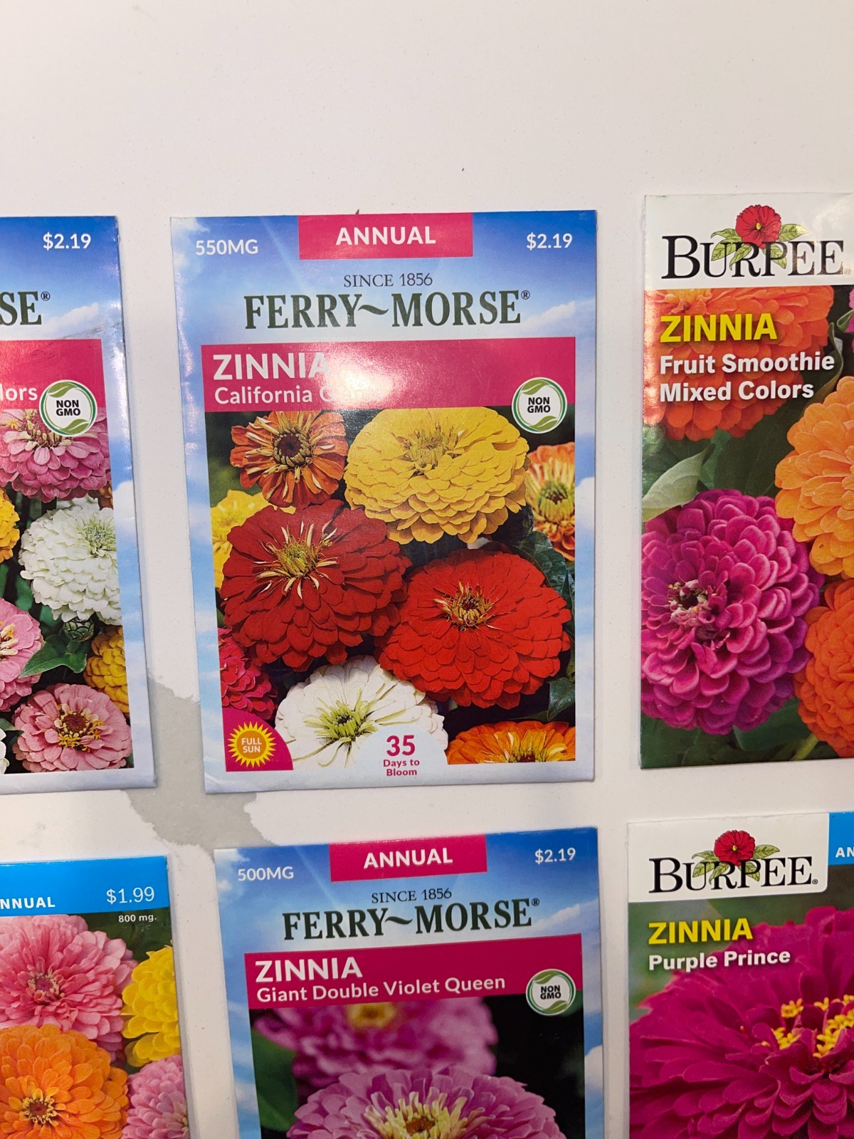 10 PACK BUNDLE LOT ZINNIA SEEDS
