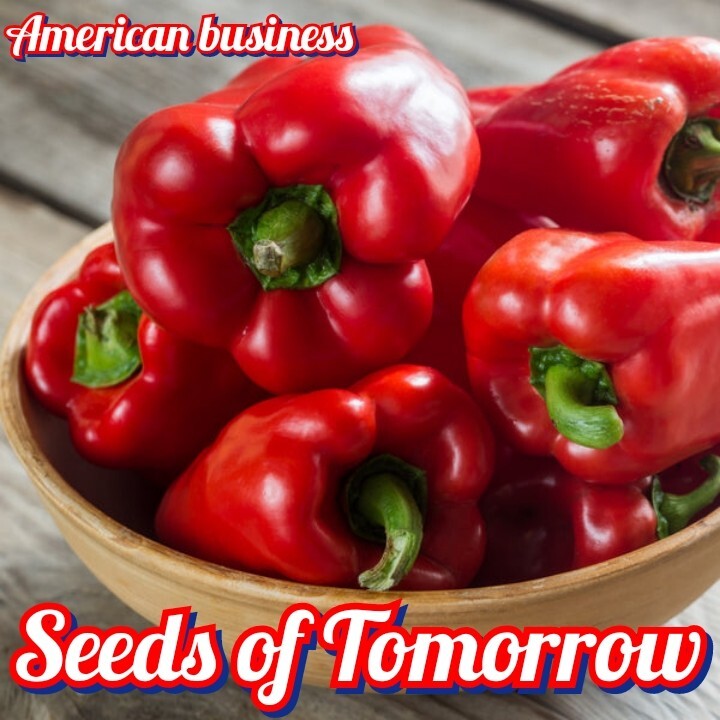 55 Organic Non-GMO California Wonder Bell Pepper Seeds- Seeds Of Tomorrow