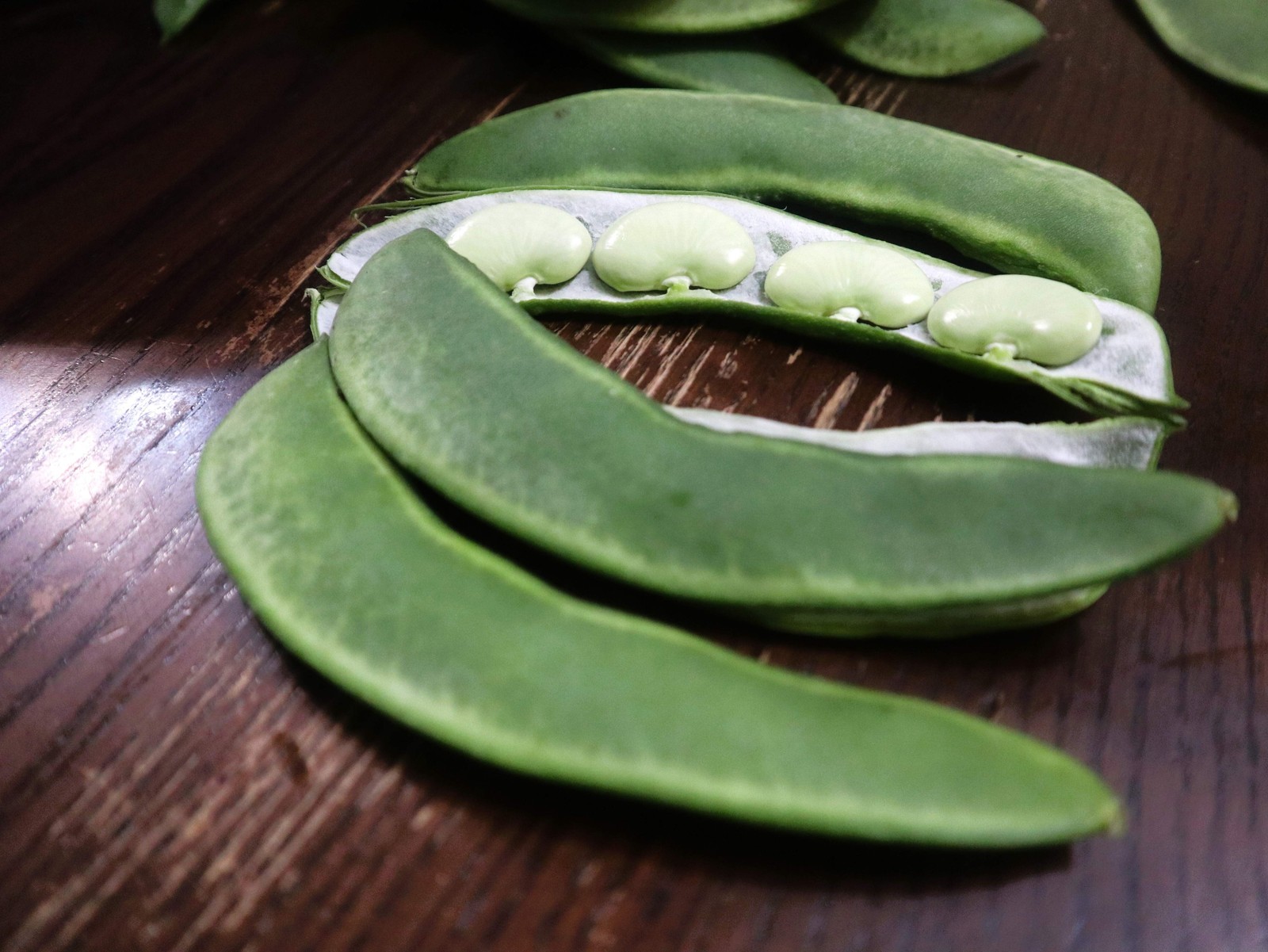 20 FORDHOOK LIMA BEAN Phaseolus Lunatus Bush Bean Vegetable Seeds