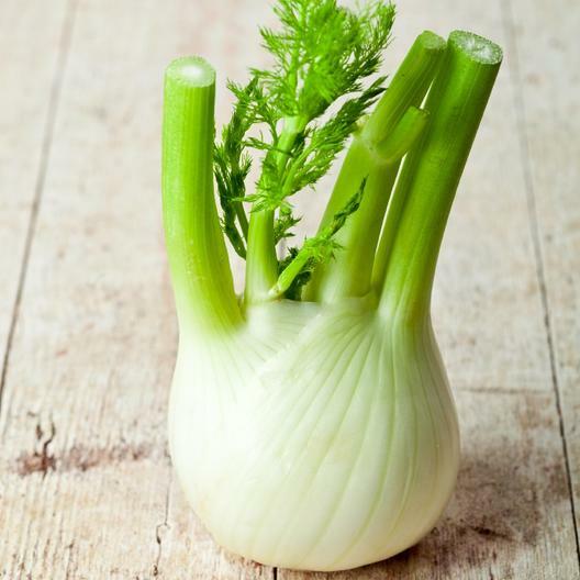 400 FLORENCE FENNEL SEEDS HERB FREE SHIPPING Non-GMO USA SELLER