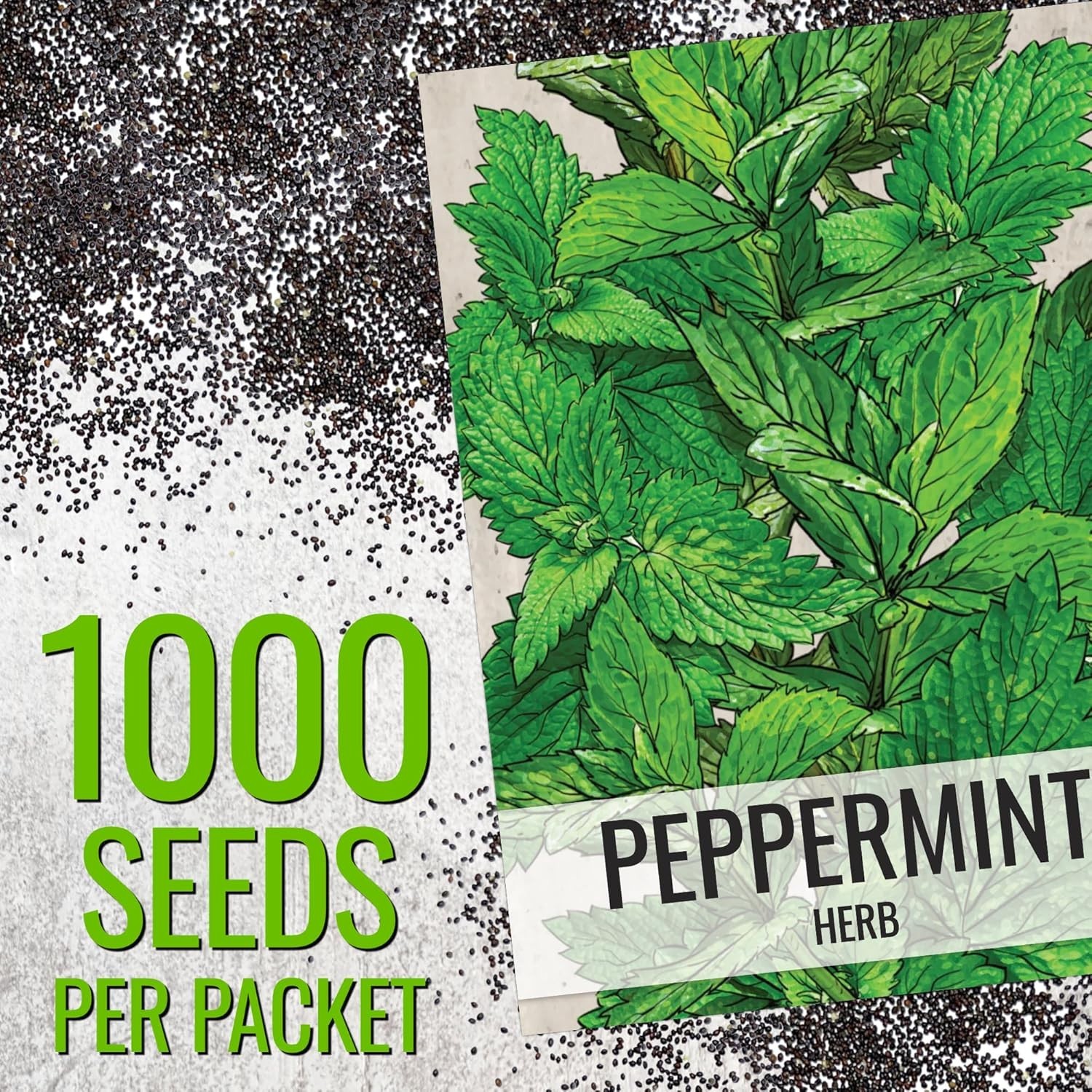 Peppermint Seeds for Planting – Non-GMO Heirloom & Untreated – Medicinal/Culi…
