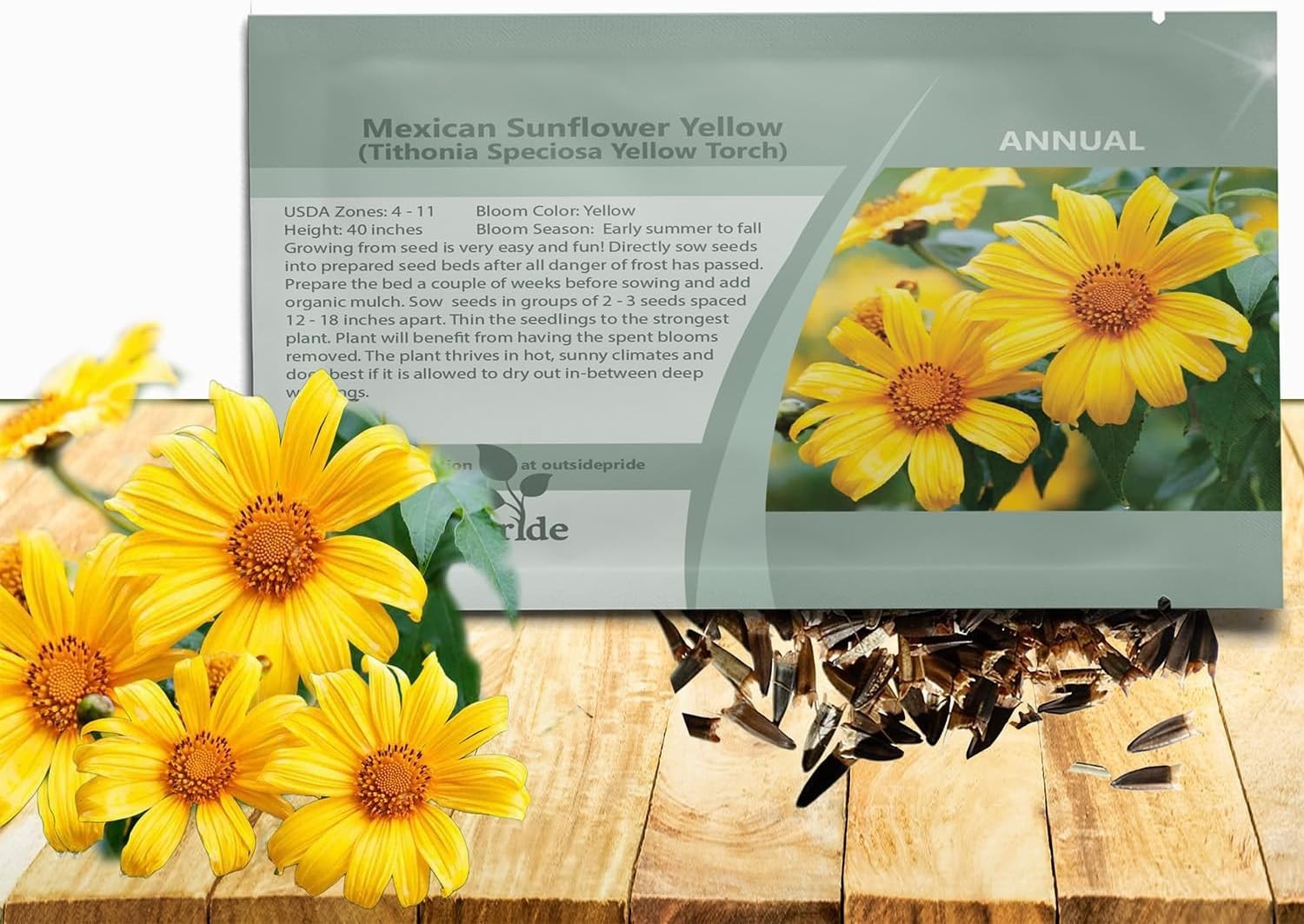 Yellow Torch Mexican Sunflower Seeds – 500 Pcs Annual, Easy-to-Grow, Yellow T…