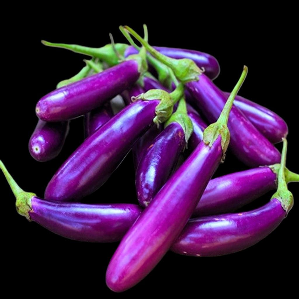 Long Purple Eggplant Seeds FREE SHIPPING!