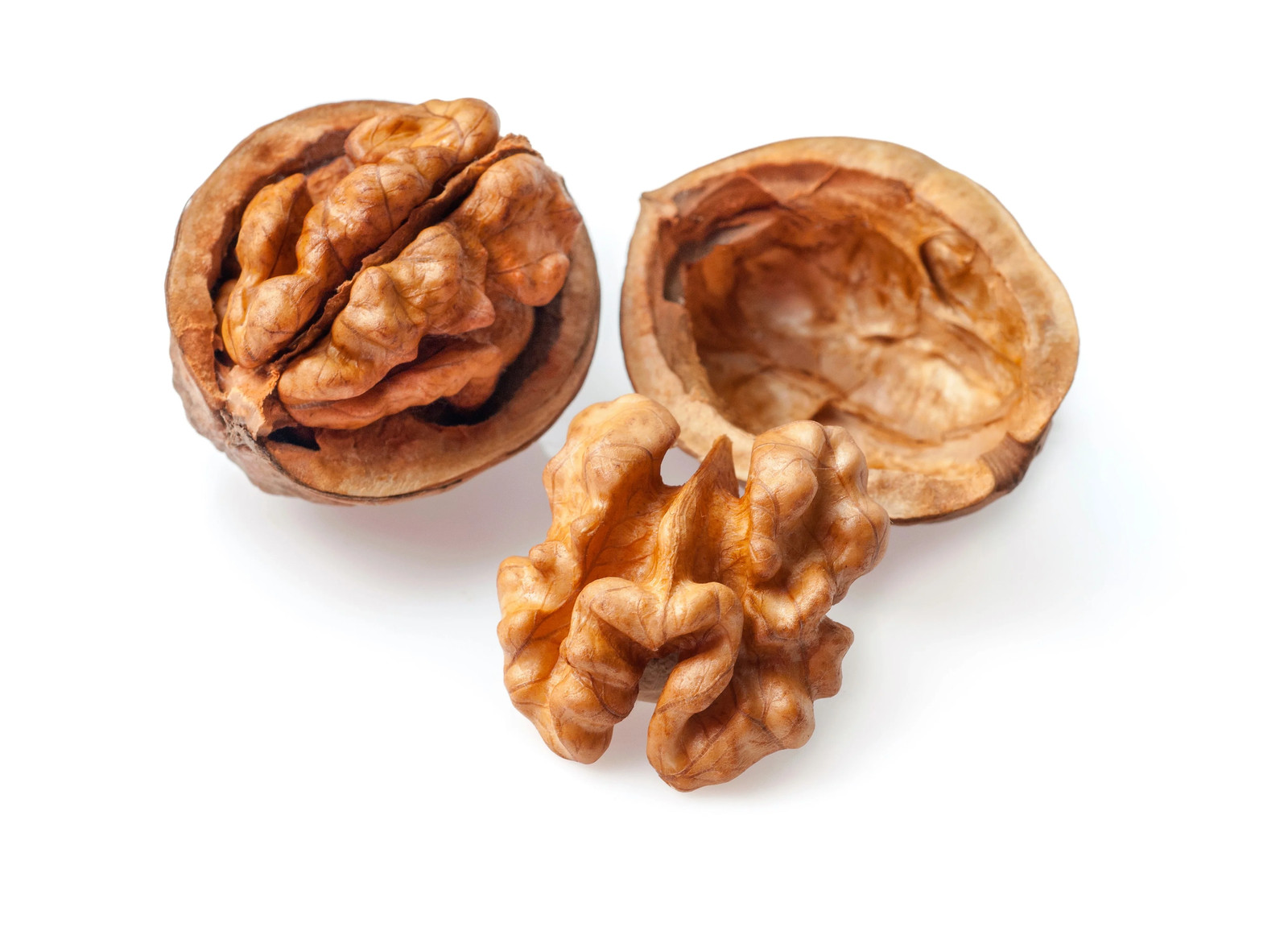 5 ENGLISH WALNUT Common Hardy Carpathian Nut Fruit Tree Juglans Regia Seeds