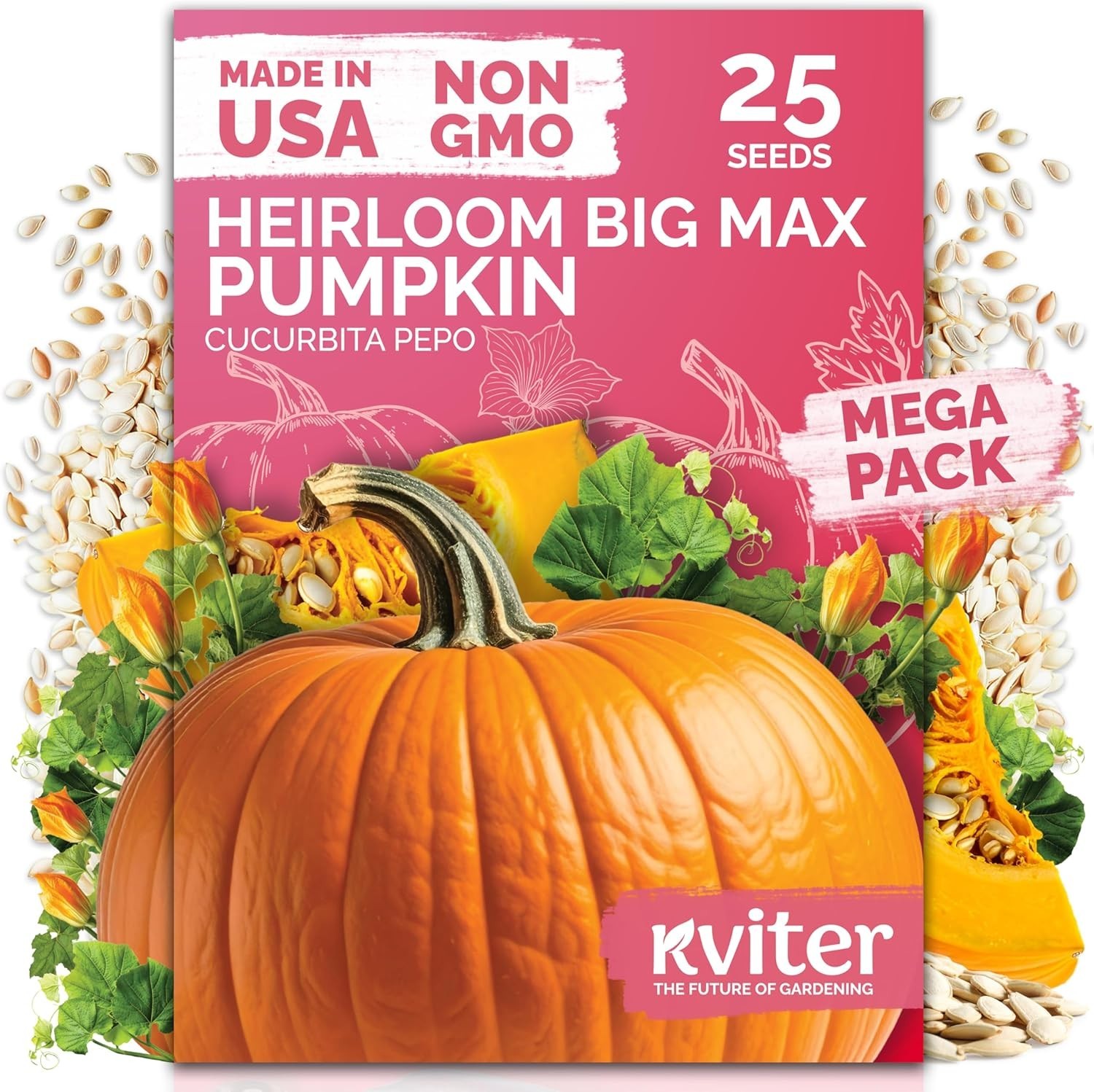 Giant 100 lbs Big Max Pumpkin Seeds – Disease Resistant & Low Maintenance