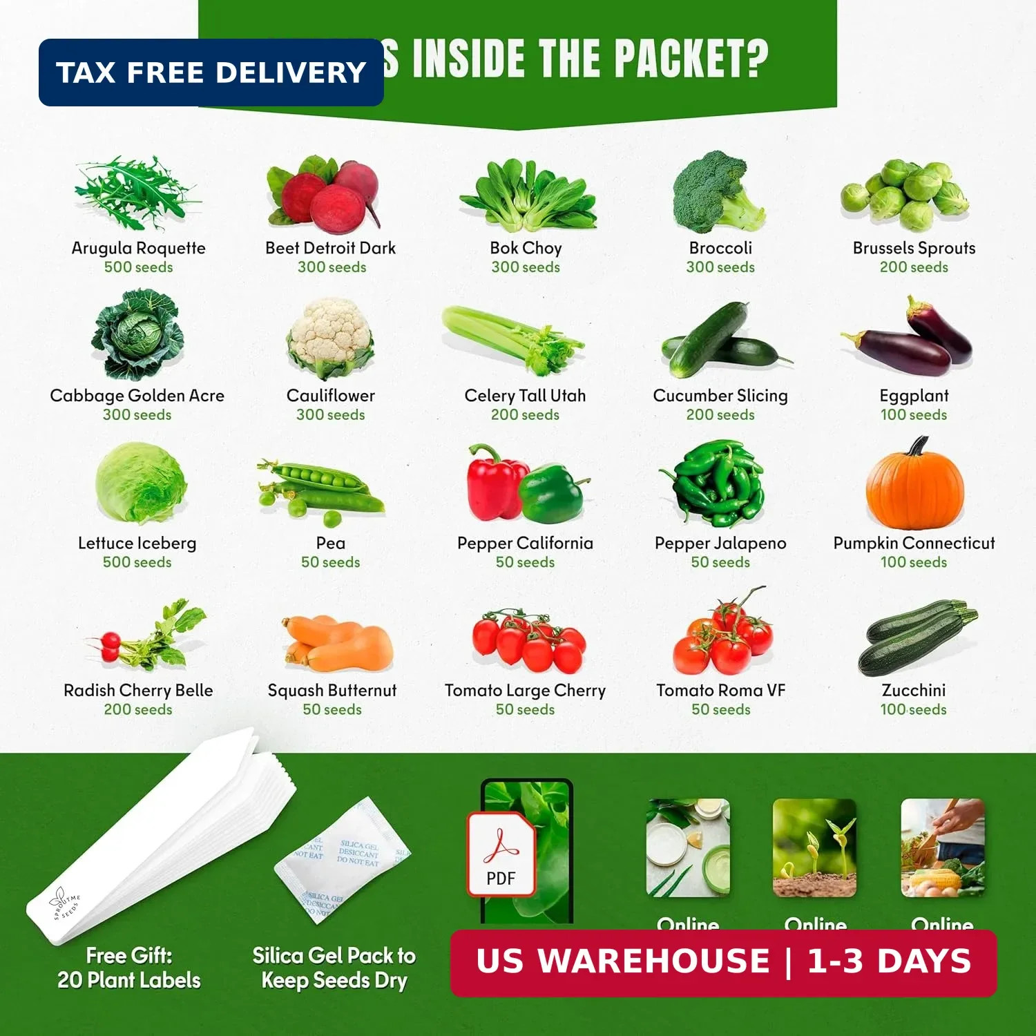 Vegetable Seeds Variety Pack – Tomato, Cucumber, Zucchini, Lettuce, Broccoli & C