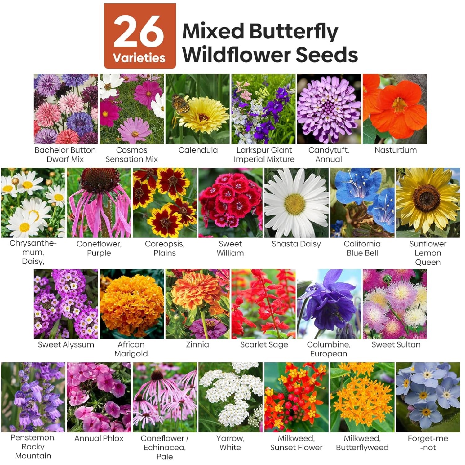 Fresh Annual & Perennial Flower Seeds Mix – 26 Types