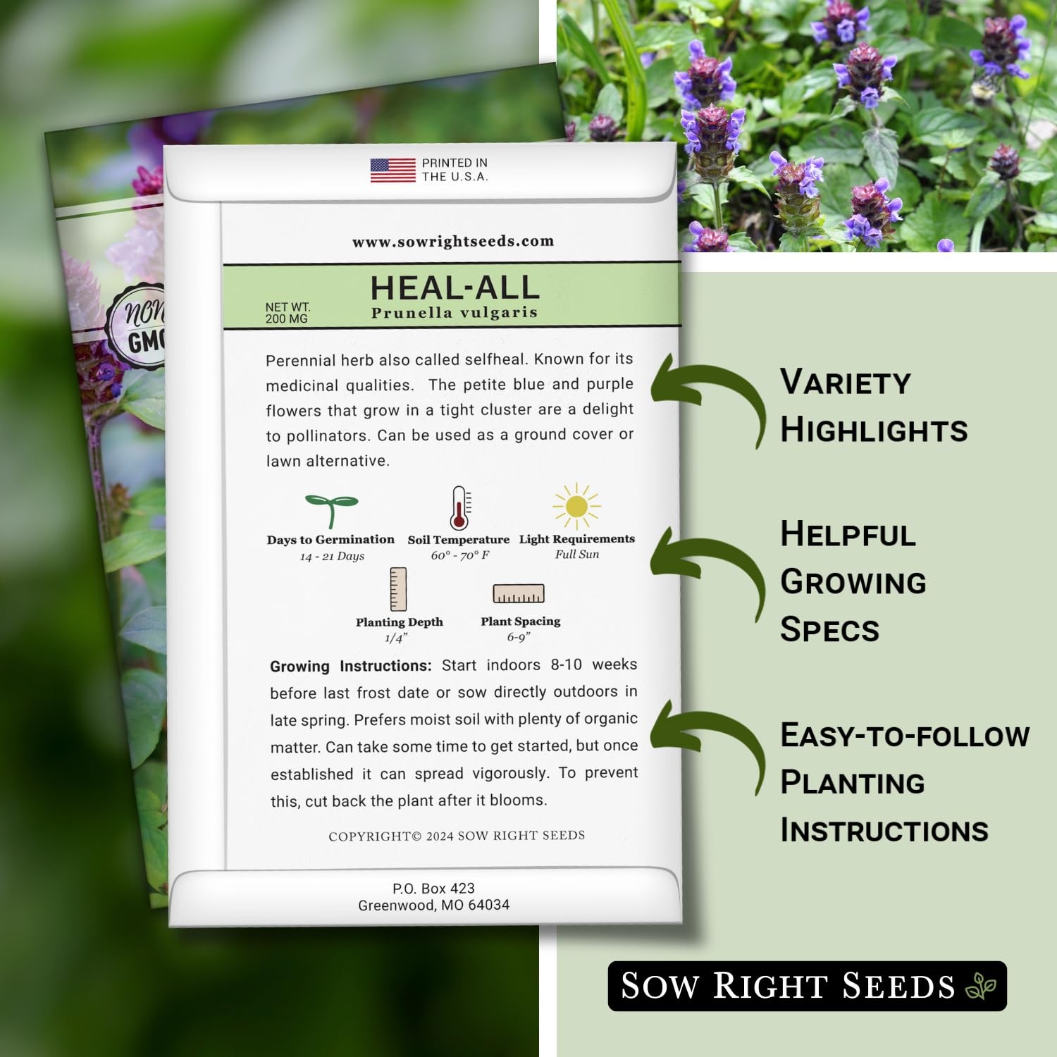 Heal-All Seeds for Planting – Non-GMO Medicinal Herb for Wildflower Gardens