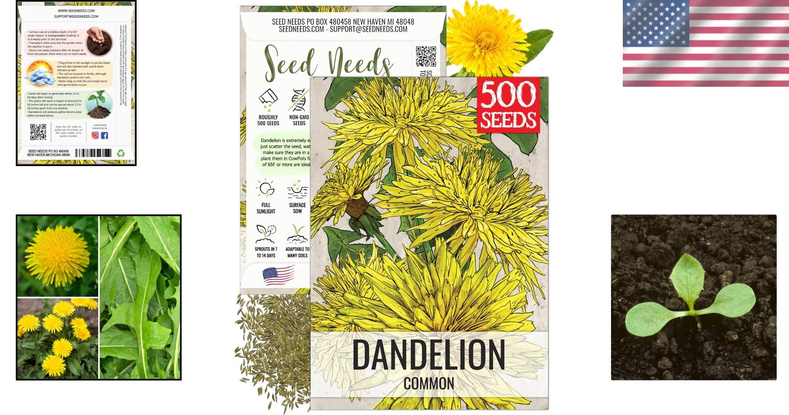 Dandelion Seeds for Planting – Heirloom, Non-GMO & Pet-Friendly Greens – 1 Pack