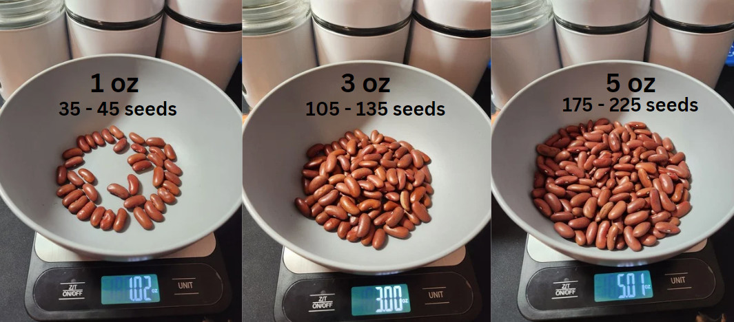 Wholesale Seeds, Semillas al por mayor, Puerto Rico, gandules, beans, hydroponic