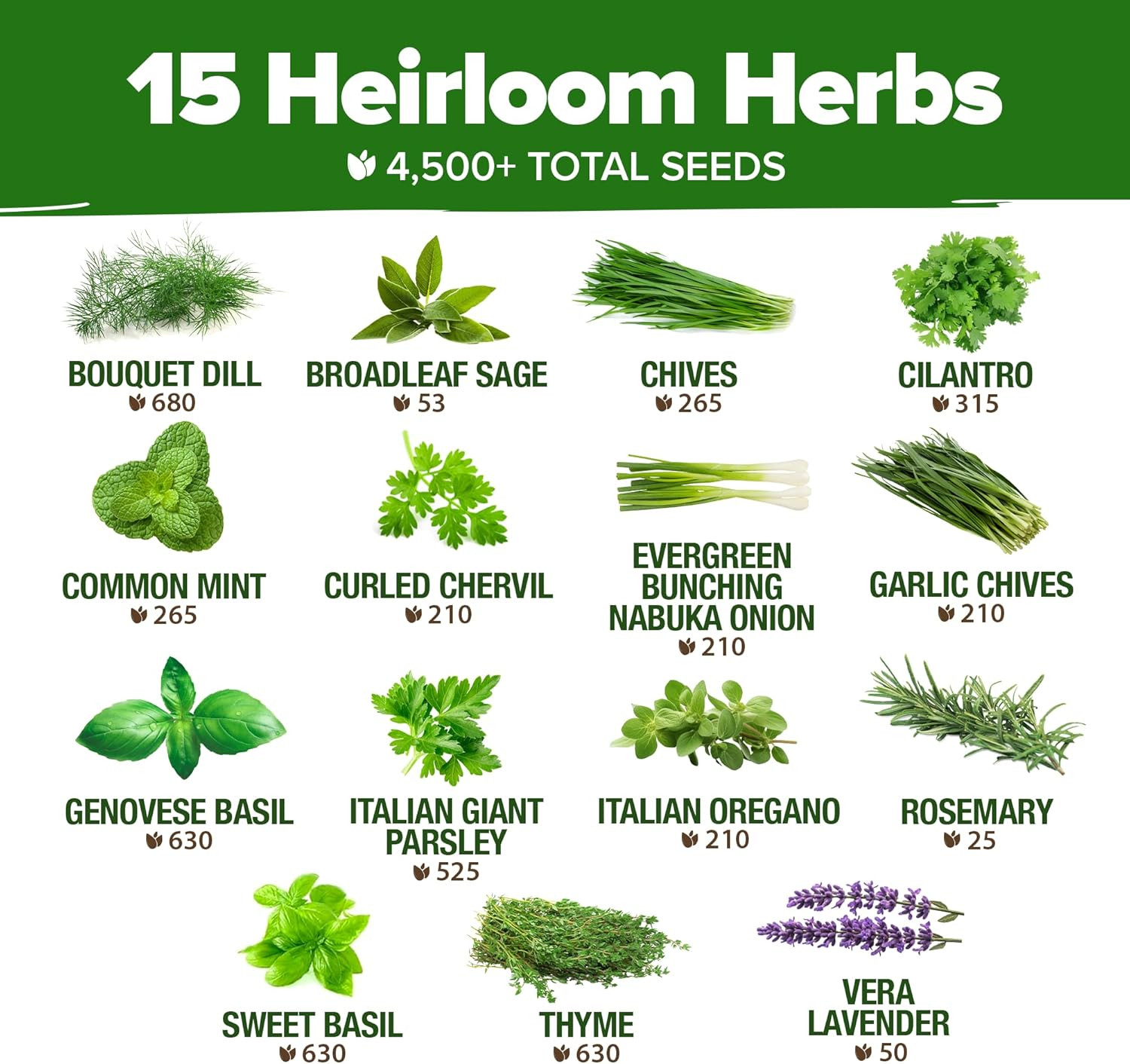 15 Non-GMO Heirloom Herb Seeds – Culinary Variety Pack for Indoor & Outdoor Use