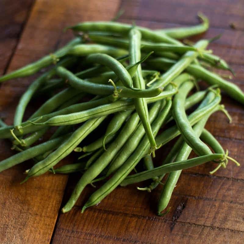 Blue Lake 274 Green Bean Seeds (Bush) | Stringless Beans Vegetable Seed for 2024