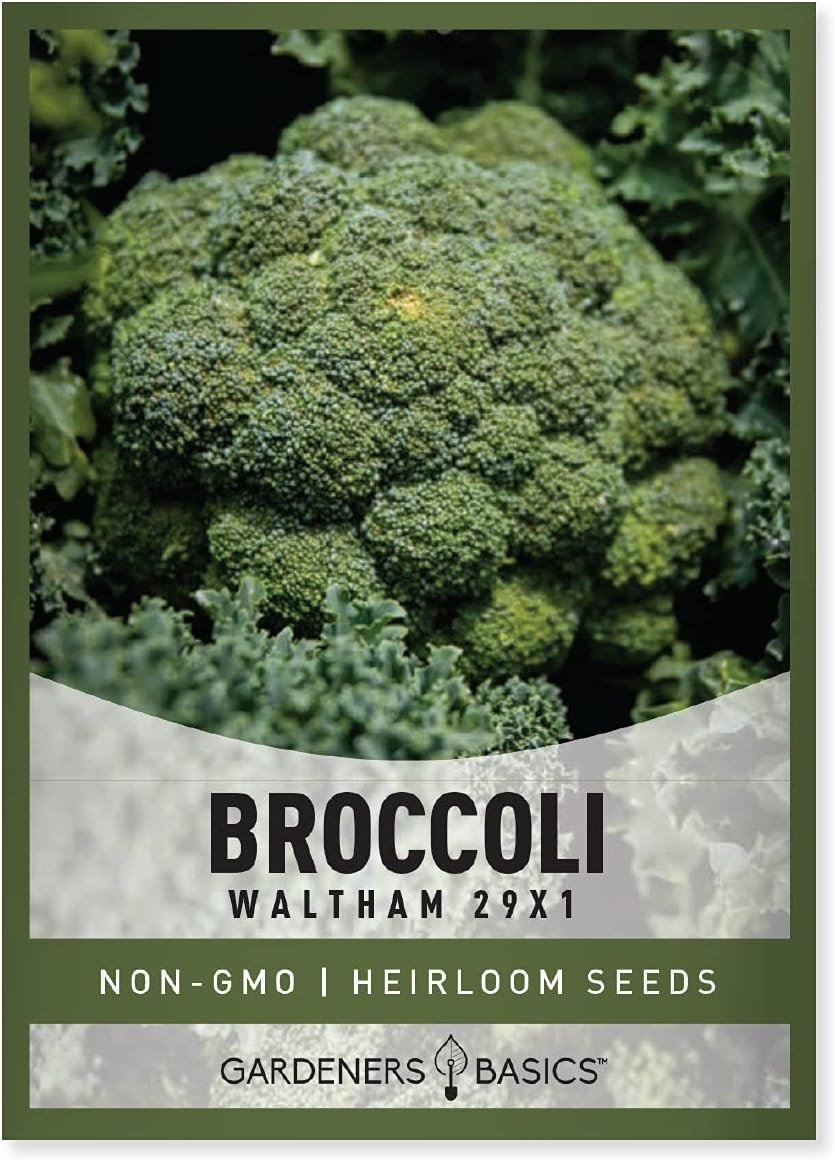, Broccoli Seeds for Planting Is a Great Heirloom, Non-Gmo Vegetable Variety- 1