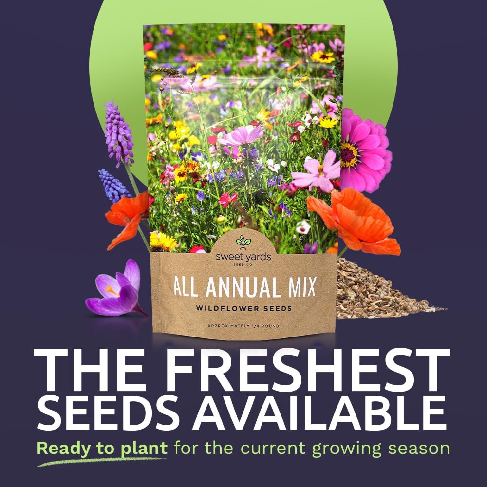 Bulk Wildflower Seeds Annual Quick Blooming 1/4 Pound Bag, Multiple Colors