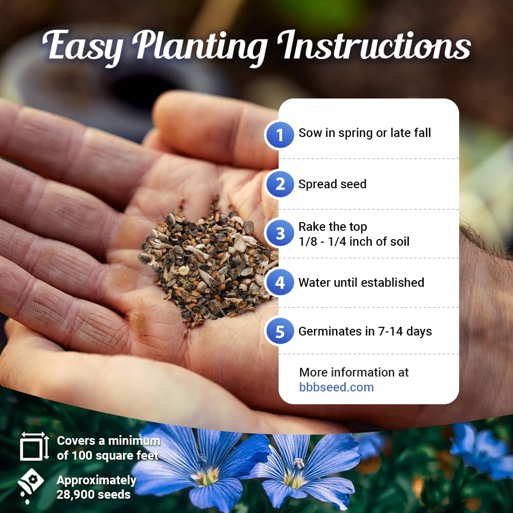 Rocky Mountain Wildflower Seed Mix 1oz – Premium Wildflower Seed Mix for High…