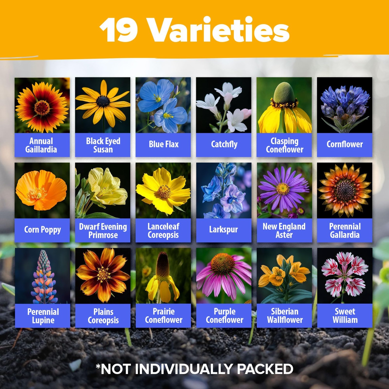 Midwest Wildflower Seed Mix – 65,000+ Heirloom Perennial Seeds for Bees, Birds &