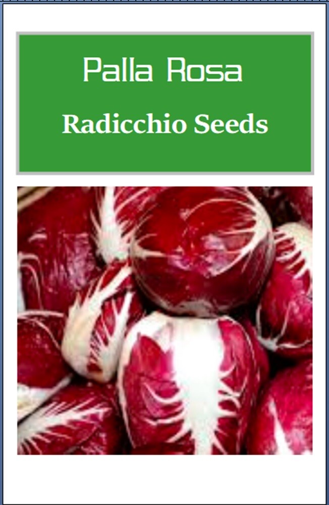 Radicchio Seeds | Palla Rosa | Heirloom | Fresh Garden Seeds
