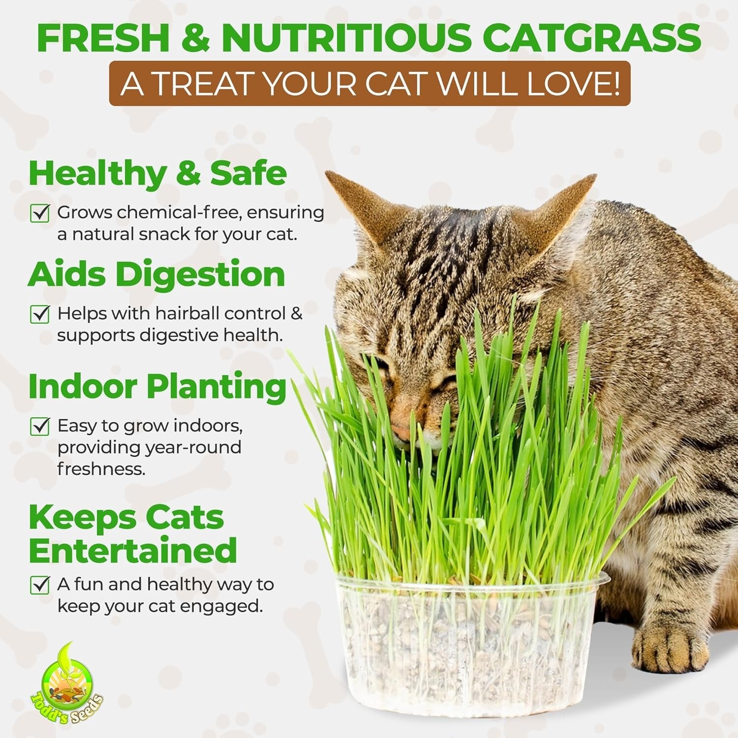 1lb Pet-Safe Wheatgrass for Cats – Todd’s Non-GMO Grass, Easy Indoor Growing