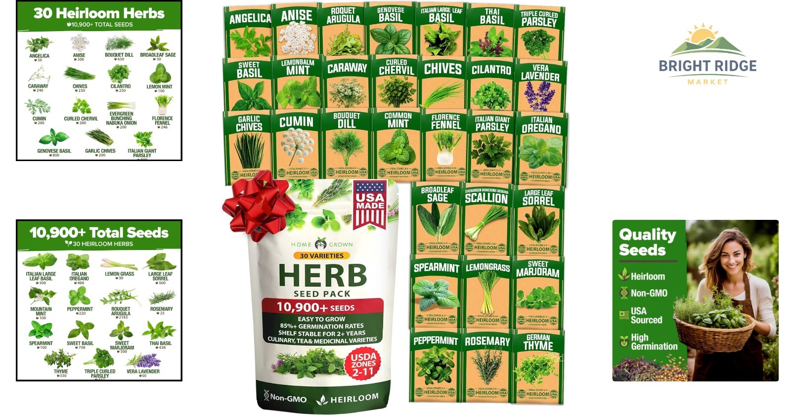 Pollinator-Friendly Herb Seed Set for Spring & Summer Planting – Low Maintenance