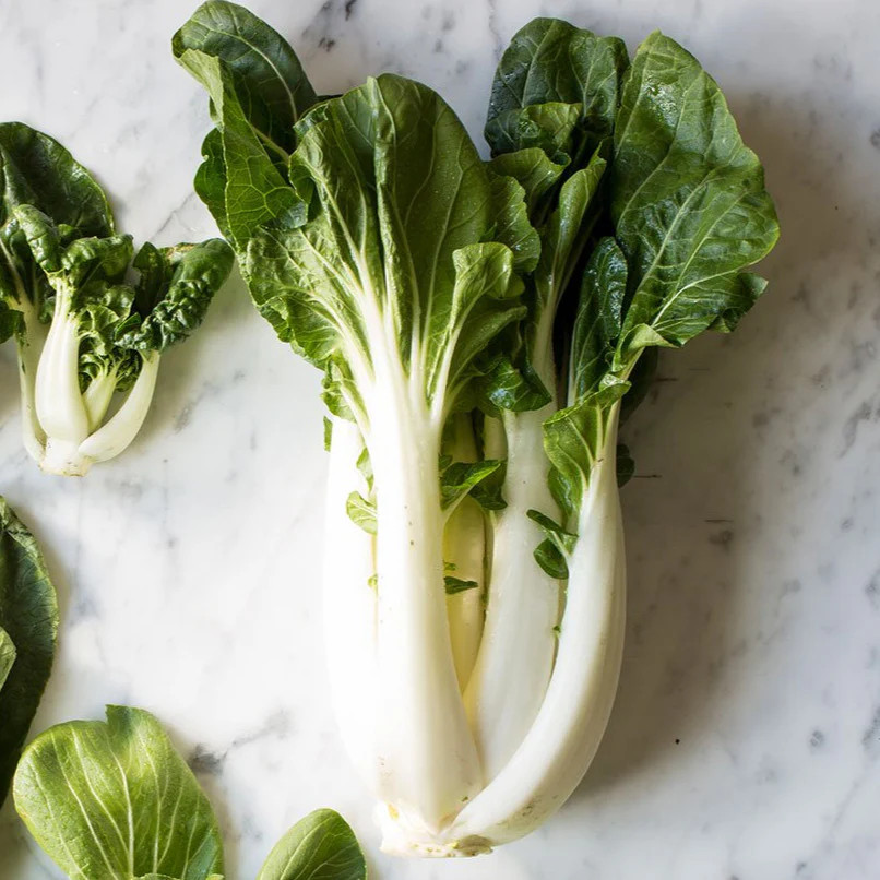 Large White Stem Bok Choy Seeds | USA Asian Chinese Pak Choi Cabbage Seed 2024